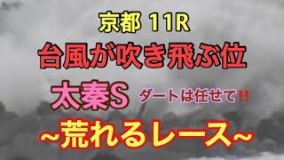 【競馬予想】京都11R 太秦S2019【台風で大荒れ！？】このレースは当てないとな！