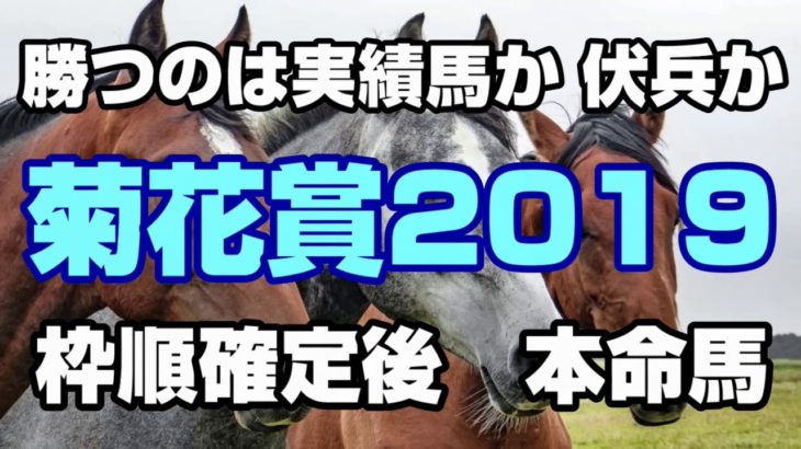 【競馬予想】菊花賞2019　枠順確定後　本命馬