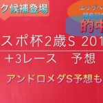 【競馬予想】　東京スポーツ杯2歳S　2019 予想 ユートピアS アンドロメダS