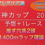 【競馬予想】　阪神カップ　2019 予想　摩耶ステークス