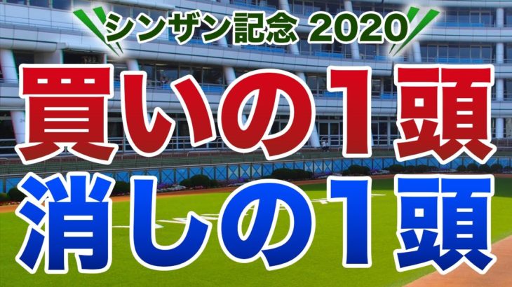 シンザン記念2020【買いの1頭／消しの1頭】公開！