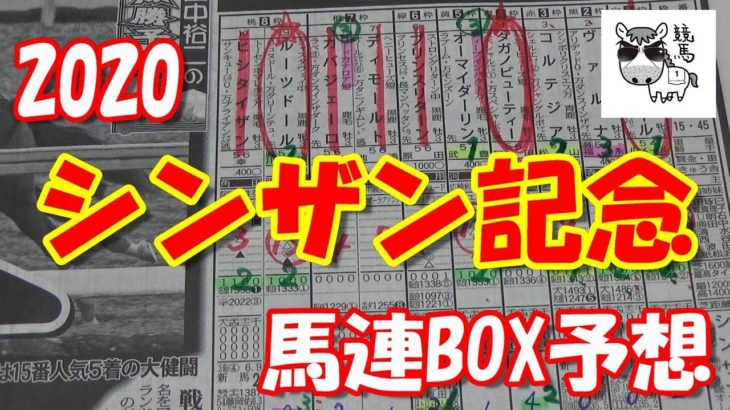 【シンザン記念】シンザン記念2020　馬連BOX予想【競馬予想】
