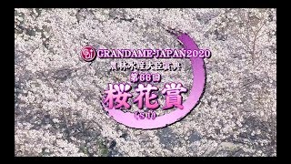 【浦和競馬】桜花賞2020　レース速報