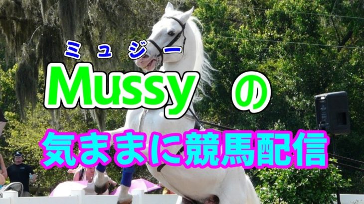 【Mussyの気ままに競馬配信】名古屋・浦和競馬場　　12時半頃まで【日本ダービー予想も】