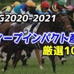 【競馬】POG2020-2021 ディープインパクト産駒厳選10頭