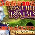 オンラインcasino【White Rabbit】登録20人達成　10万円企画