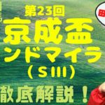 【田倉の予想】6月17日船橋競馬・11R 第23回 京成盃グランドマイラーズ（ＳIII） 徹底解説！