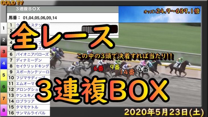東京競馬全レース勝負！　全レース３連複BOXを買ってみた結果・・・　【 GOLD TV    MASA 】【  競馬  】