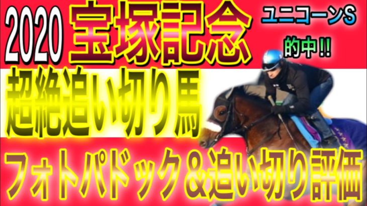 G1 宝塚記念2020【競馬予想】サートゥルナーリアではない！　 超絶追い切り馬！！
