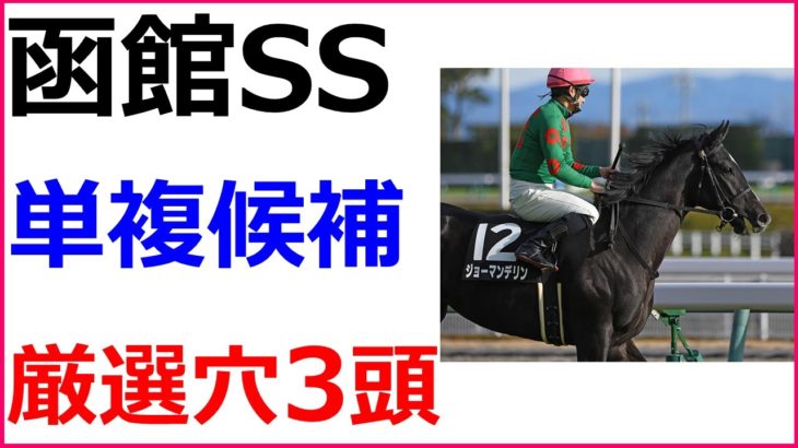 函館SS 2020 競馬予想 厳選穴馬3頭と人気馬診断