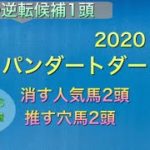 【競馬予想】　地方交流重賞　ジャパンダートダービー　2020 予想