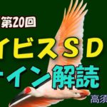 【競馬】2020 アイビスSDのサイン解読 #190