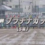 【浦和競馬】プラチナカップ2020　レース速報(冒頭08分ほどゲート入りの様子)