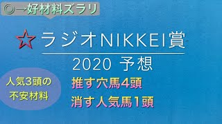【競馬予想】　ラジオNIKKEI賞　2020 予想