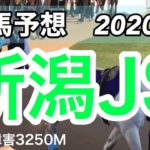 【競馬予想】新潟ジャンプS 2020年