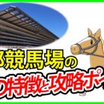 【競馬】京都競馬場で勝つための攻略法・競馬必勝法