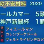 【競馬予想】　神戸新聞杯　オールカマー　2020 事前予想　データ