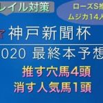 【競馬予想】　神戸新聞杯　2020 本予想