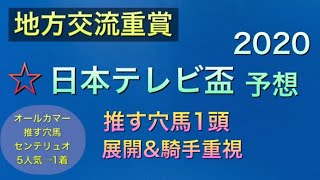 【競馬予想】　地方交流重賞　日本テレビ盃　2020 予想