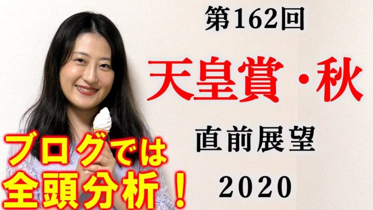 【競馬】天皇賞秋 2020 直前展望 (全頭分析はブログで！) ヨーコヨソー
