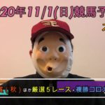 2020/11/1日曜競馬予想😀天皇賞（秋）ほか＋複勝コロガシbyMr.おじさん🏇