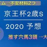 【競馬予想】　京王杯2歳ステークス　2020 予想