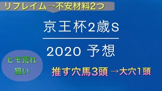 【競馬予想】　京王杯2歳ステークス　2020 予想