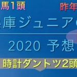【競馬予想】　地方交流重賞　兵庫ジュニアグランプリ　2020 予想