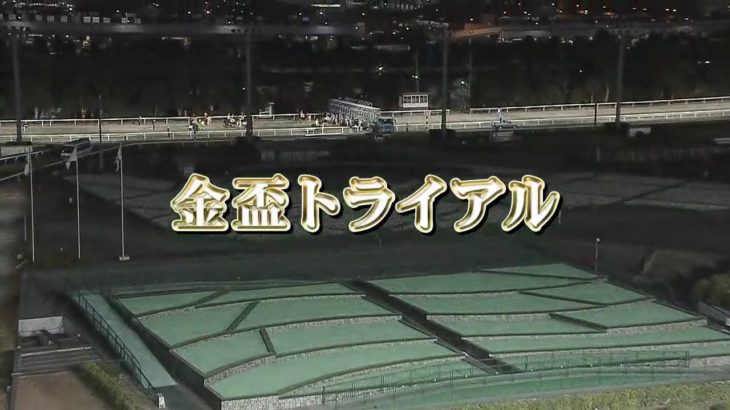 【大井競馬】金盃トライアル2020　レース映像