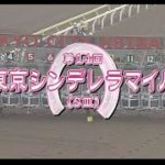 【大井競馬】東京シンデレラマイル2020　レース映像