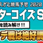 【競馬予想】 2020 ターコイズS　ハンデを読み解け！！