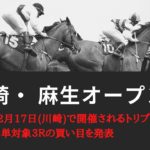 【川崎競馬】麻生オープン2020予想┃川崎1500ｍ戦は森泰斗騎手の複勝率が凄い！