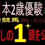 全日本2歳優駿2020（川崎競馬）消去法予想｜激推し1頭公開！
