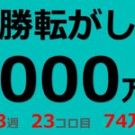 【競馬】74万円になった複勝転がし、更に転がしてみた！！