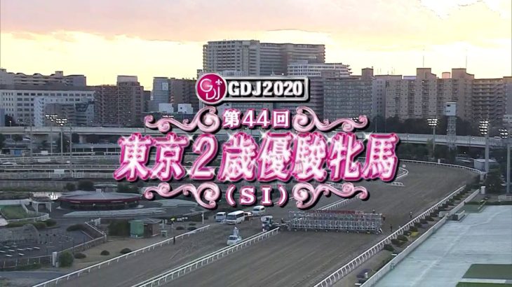 【大井競馬】東京２歳優駿牝馬2020　レース映像