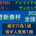 【競馬予想】　日経新春杯　2021 全頭診断　事前予想