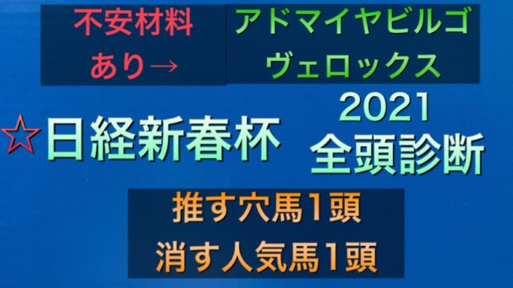 【競馬予想】　日経新春杯　2021 全頭診断　事前予想