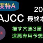 【競馬予想】　アメリカジョッキークラブカップ　AJCC 2021 本予想