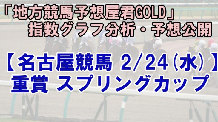 2/24(水) 名古屋競馬  10R スプリングカップ-最後に能力偏差値公開【地方競馬 指数グラフ・予想】