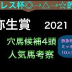 【競馬予想】　弥生賞　2021 事前予想　人気馬考察　穴馬考察