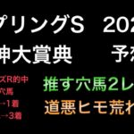 【競馬予想】　スプリングステークス　阪神大賞典　2021 予想