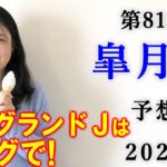【競馬】皐月賞  2021 予想(中山グランドジャンプはブログで！) ヨーコヨソー