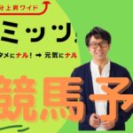 HBCラジオ「ナルミッツ!!!」競馬コーナー　『最近好調なんです・・・桜花賞』2021年4月9日OA