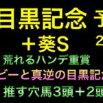 【競馬予想】　目黒記念　2021 予想　葵ステークス