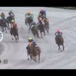 【金沢競馬】徽軫賞 2021 ハクサンアマゾネス（1.1倍）敗れる ＜概要欄＞