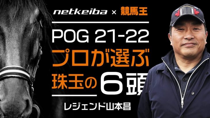 【POG 2021-2022】netkeiba×競馬王コラボ企画！プロが選ぶ珠玉の6頭！