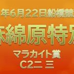【船橋競馬予想】麻綿原特別、他10R・12R【2021年6月22日】