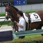 2021 阪神競馬場の2歳新馬戦 テーオーコンドルが馬を追いかけるも輪乗りの場所で確保!! 現地映像