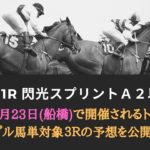 【船橋競馬予想】閃光スプリント2021┃トリプル馬単対象3レース