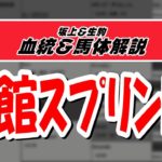 【2021函館スプリントS】元競馬記者と血統評論家の重賞血統談義！！！